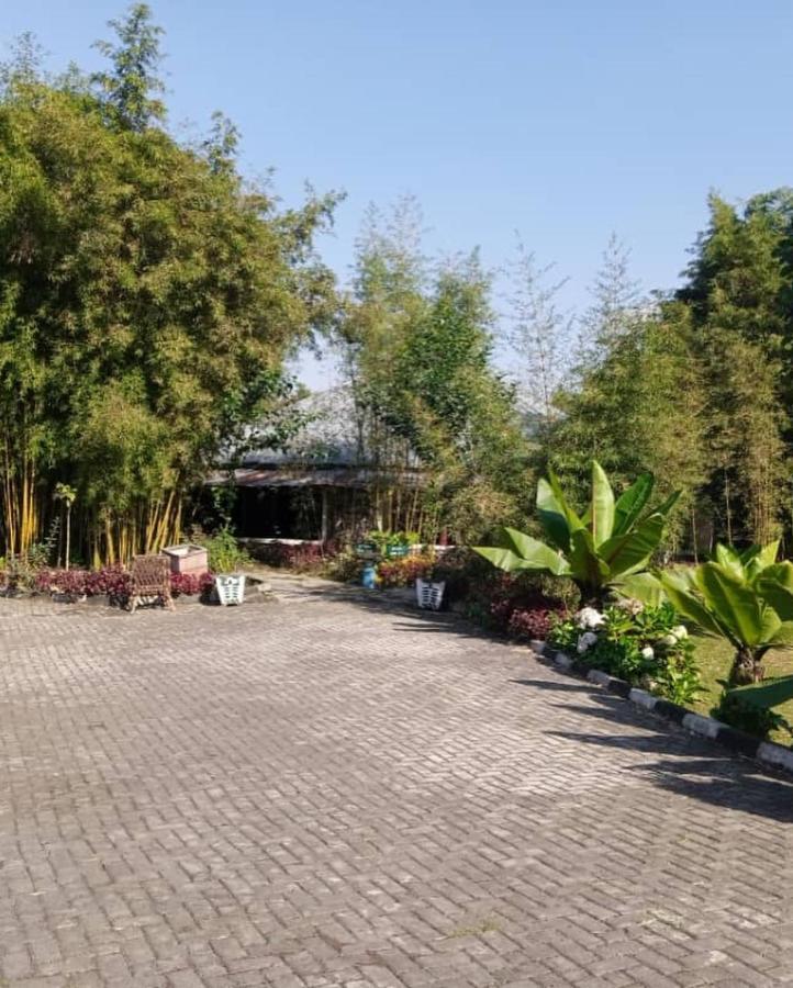 Le Bambou Gorilla Lodge Kinigi Bagian luar foto