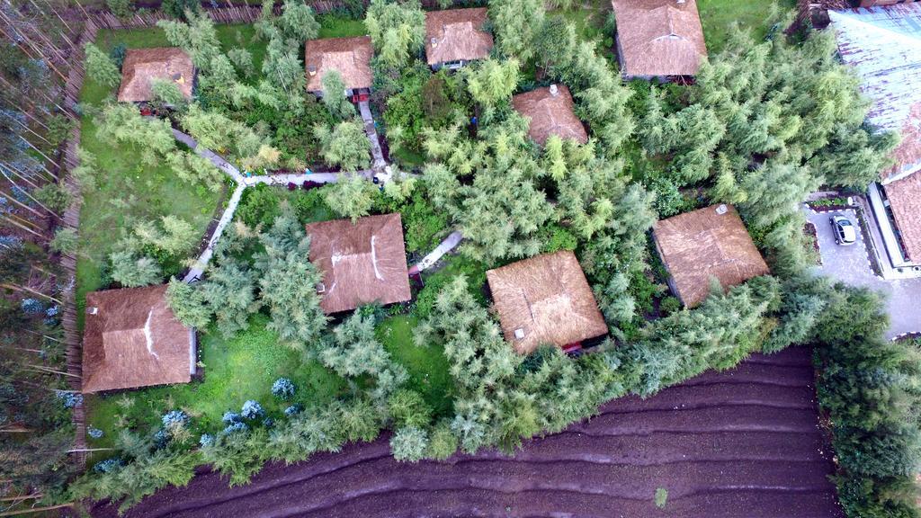 Le Bambou Gorilla Lodge Kinigi Bagian luar foto