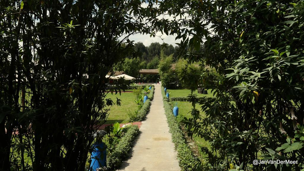 Le Bambou Gorilla Lodge Kinigi Bagian luar foto