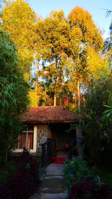 Le Bambou Gorilla Lodge Kinigi Bagian luar foto