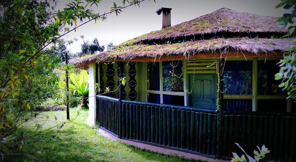 Le Bambou Gorilla Lodge Kinigi Bagian luar foto